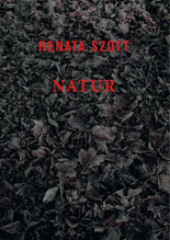 Katalog